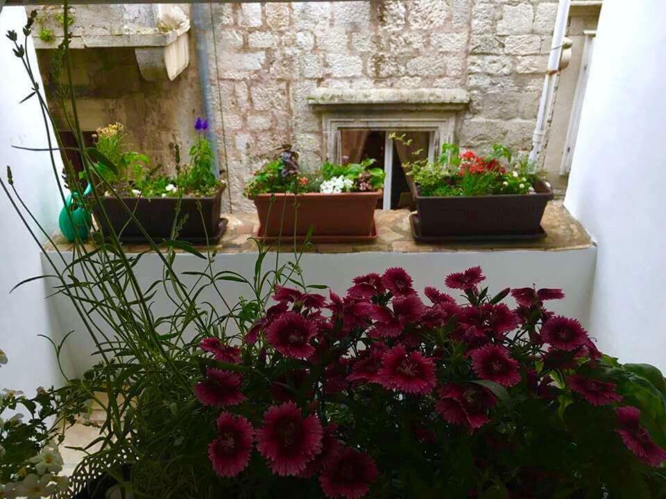 Puntin Rooms Sobe Korčula Dış mekan fotoğraf